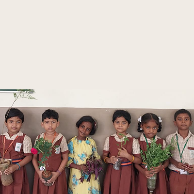 Students planting saplings