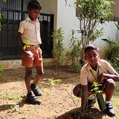 Environment Day plantation